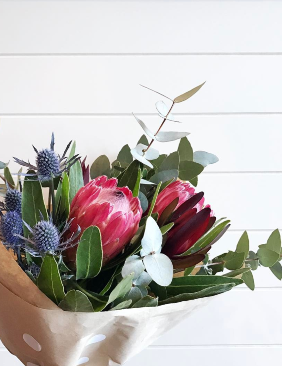 Screen Shot 2017-04-26 at 10.02.25 pm